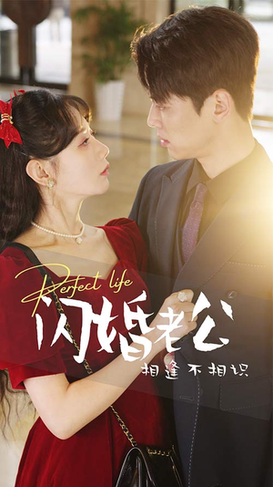 闪婚老公相逢不相识(90集) 闪婚老公相逢不相识(90集)热门短剧免费看