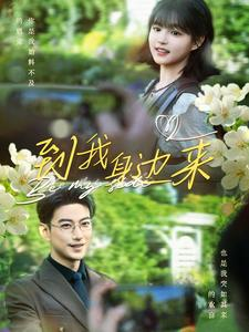 到我身边来(100集) 到我身边来(100集)在线观看完整版