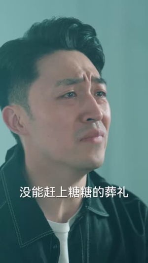 宝贝对不起（30集）好看的短剧推荐