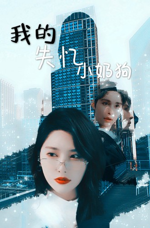 我的失忆小奶狗（64集）热播短剧追不停