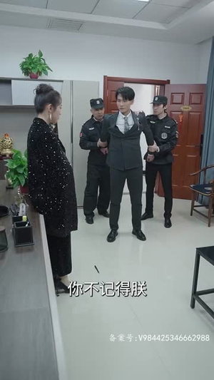 赘婿天子（91集）剧好看短剧推荐