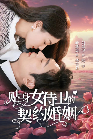 贴身女侍卫的契约婚姻（91集）火爆热门短剧