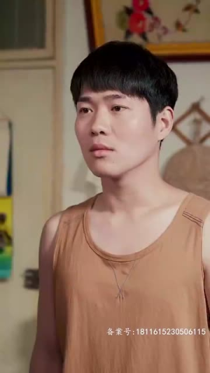 重生1992之完美人生(93集) 重生1992之完美人生(93集)全集完整版