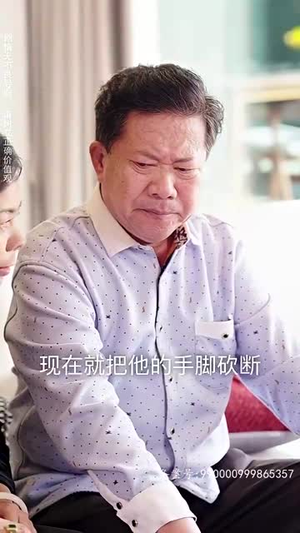 九州天龙(100集) 九州天龙(100集)免费观看