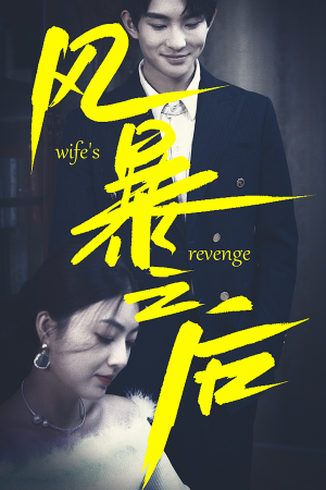 风暴之后(80集) 风暴之后(80集)一起追短剧