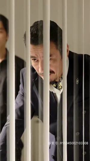 新:绝世医仙(65集) 新:绝世医仙(65集)超火热门短剧