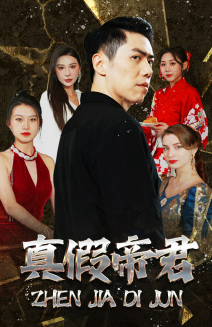 真假帝君(83集) 真假帝君(83集)一共多少集