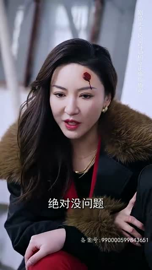 天下第二 （100集）高分佳作免费看