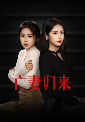 亡妻归来(85集) 亡妻归来(85集)无需充值尽情看