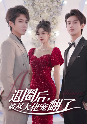 退圈后，被双大佬宠翻了（78集）短剧小说在线看