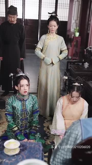 四爷的心尖宠妃 95集在线看免费版