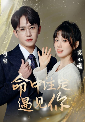 命中注定遇见你(96集) 命中注定遇见你(96集)精彩的网络短剧