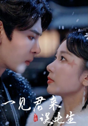 一见君来误此生(95集) 一见君来误此生(95集)短剧精彩不断