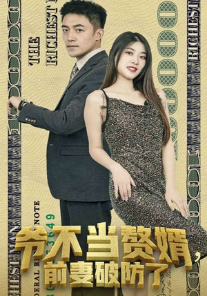 爷不当赘婿，前妻破防了（80集）短剧看全集