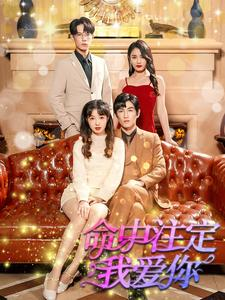 命中注定我爱你（99集）番茄免费短剧