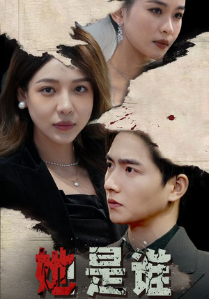 她是谁(79集) 她是谁(79集)在线看免费版