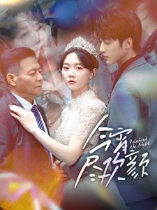 今宵尽欢颜(99集) 今宵尽欢颜(99集)精彩片段