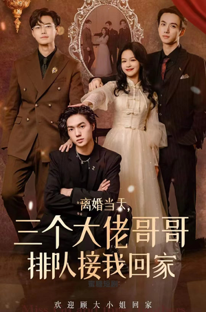 离婚当天，三个大佬哥哥排队接我回家（100集）在线观看