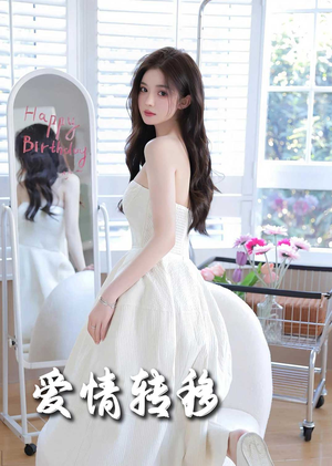 爱情转移(60集) 爱情转移(60集)剧情简介