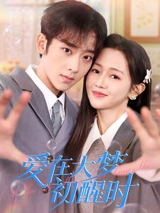 爱在大梦初醒时（100集）热门短剧追不停
