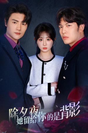 除夕夜她留给你的是背影（30集）精彩短剧下载