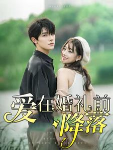 爱在婚礼前降落(50集) 爱在婚礼前降落(50集)热门短剧追不停