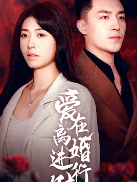 爱在离婚进行时（61集）免费在线看全集