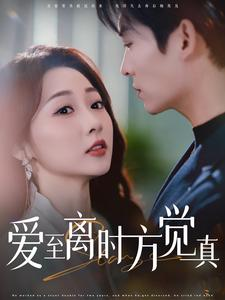 爱至离时方觉真(101集) 爱至离时方觉真(101集)河马免费短剧