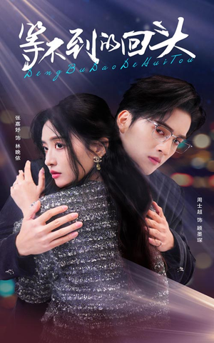 等不到的回头（35集）精彩不断免费看