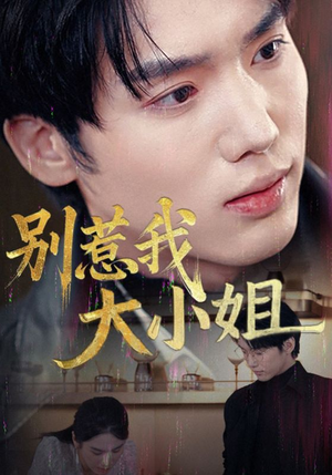 别惹我大小姐(40集) 别惹我大小姐(40集)视频在线看