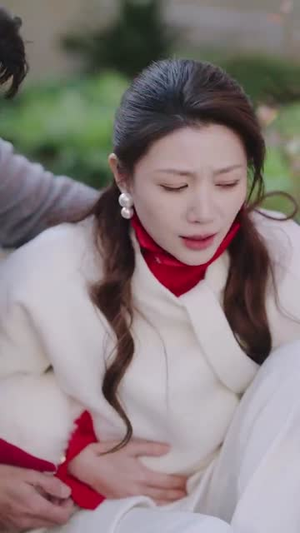 大年三十回娘家(30集) 大年三十回娘家(30集)短剧前十排行榜