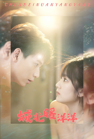 城北暖洋洋(60集) 城北暖洋洋(60集)海量资源免费看