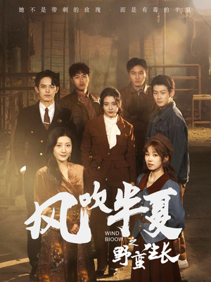 风吹半夏之野蛮生长(59集) 风吹半夏之野蛮生长(59集)完整版免费观看