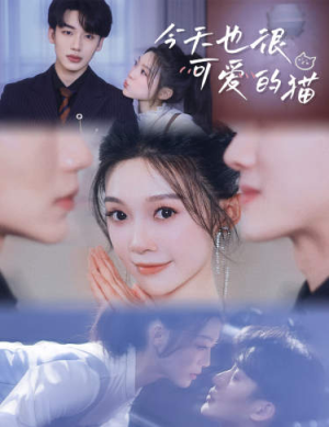 今天也很可爱的猫(72集) 今天也很可爱的猫(72集)熬夜追短剧