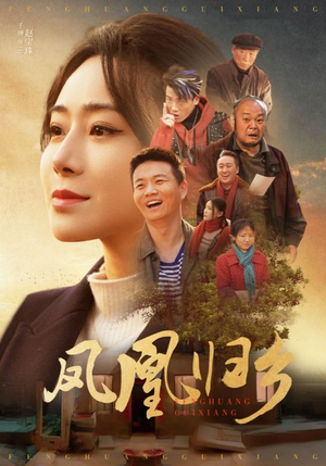 凤凰归乡(33集) 凤凰归乡(33集)无需会员免费看