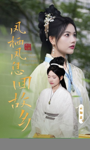 凤栖凤息回故乡（36集）排行榜前十短剧