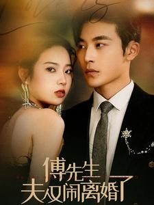 傅先生夫人又闹离婚了(80集) 傅先生夫人又闹离婚了(80集)解说文案