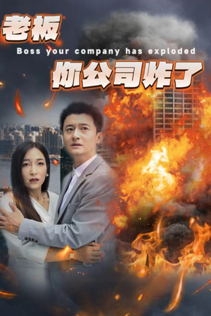 老板你公司炸了(31集) 老板你公司炸了(31集)一共多少集