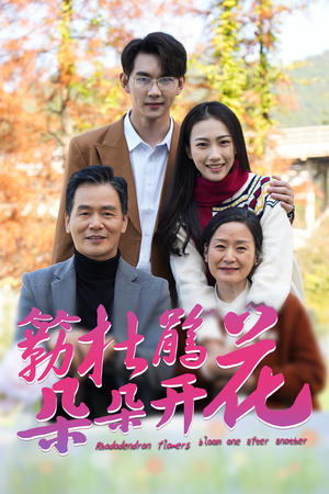 簕杜鹃花朵朵开（38集）精彩短剧随心推