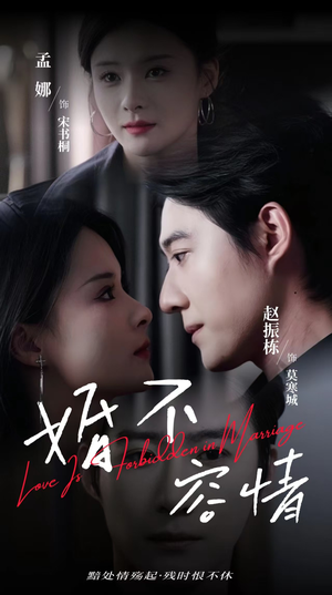 婚不容情(89集) 婚不容情(89集)全集免费