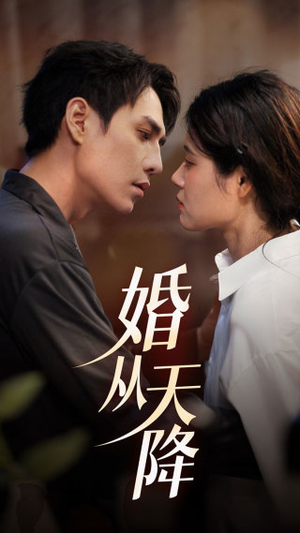 婚从天降（92集）短剧免费分享