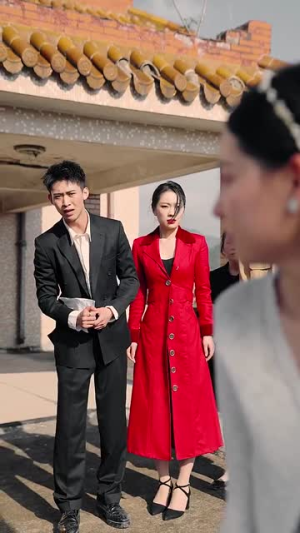 回到1994（100集）观看软件