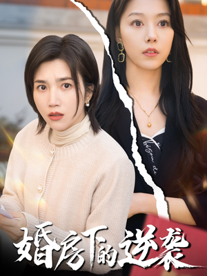 婚房下的逆袭（38集）热门短剧免费看