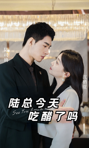 陆总今天吃醋了吗(50集) 陆总今天吃醋了吗(50集)最新火爆短剧