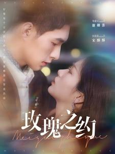 玫瑰之约（95集）精彩热门短剧