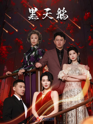 黑天鹅（51集）好短剧分享