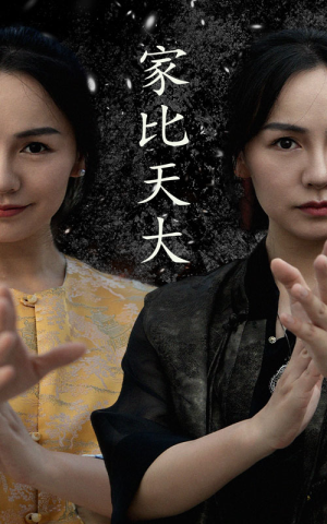 家比天大(63集) 家比天大(63集)好看到停不下来