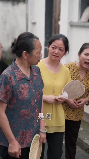 农村里飞出金凤凰(68集) 农村里飞出金凤凰(68集)一共多少集