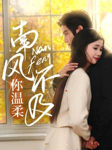 南风不及你温柔（74集）全季一次看完