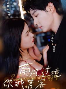 南风国境你我皆客(80集) 南风国境你我皆客(80集)好看的短剧来了